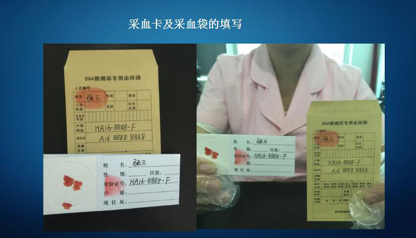 司法亲子鉴定(图5) 司法亲子鉴定(图5)