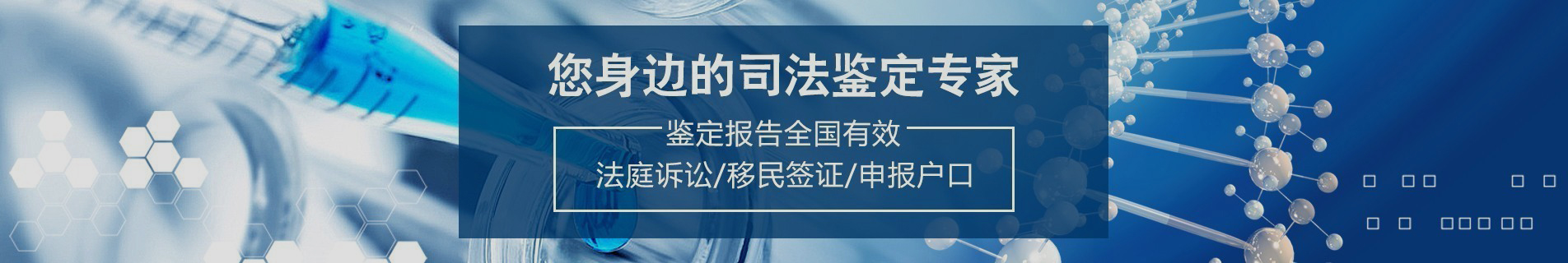 亲子鉴定类型