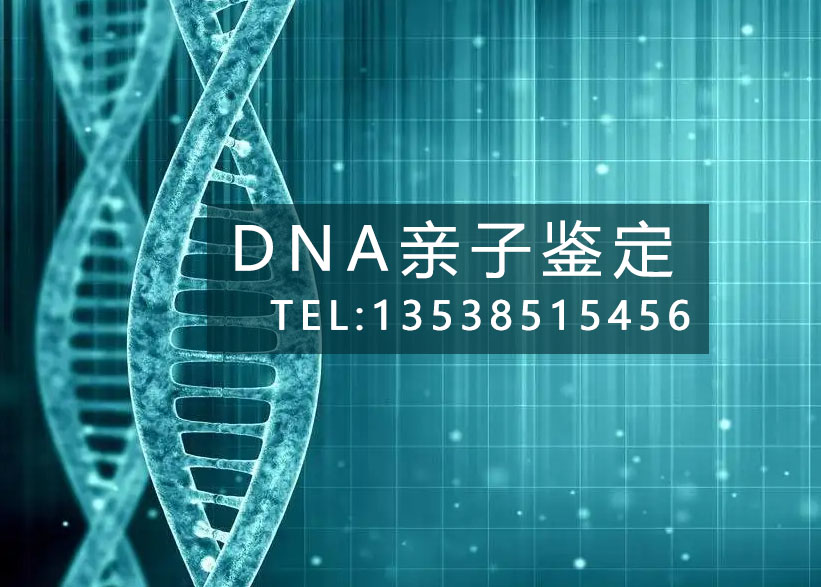 广州亲子鉴定中心 广州亲子鉴定中心