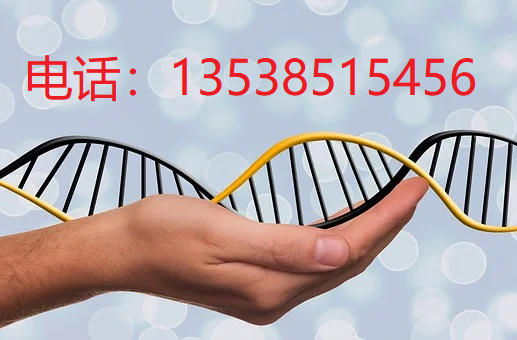 广州亲子鉴定中心 广州亲子鉴定中心