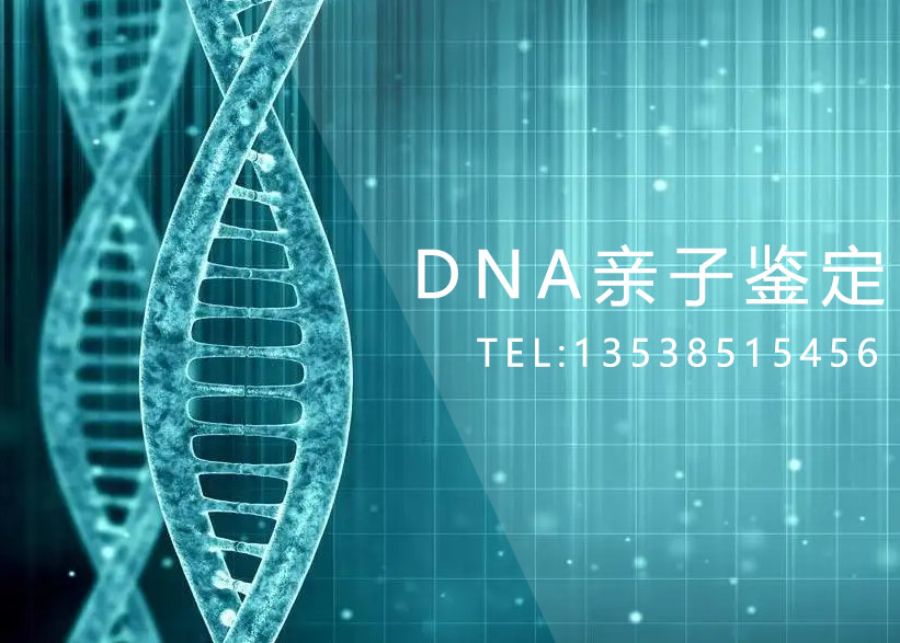 广州亲子鉴定中心 广州亲子鉴定中心