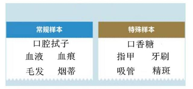 广州亲子鉴定中心