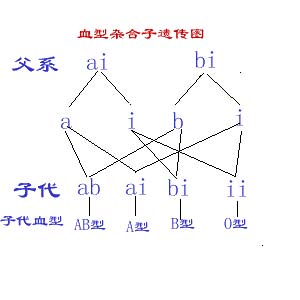广州亲子鉴定中心 广州亲子鉴定中心