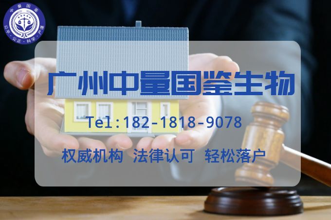 广州亲子鉴定去哪里做最准(附2024年最新版)