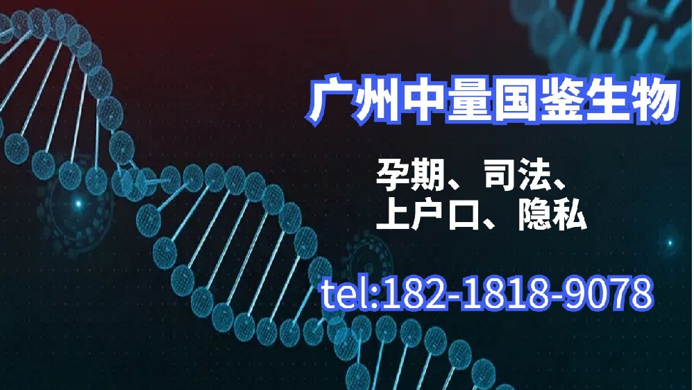 广州司法亲子鉴定收费标准一览(2024年最新更新价目表)